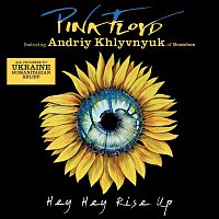 Andriy Khlyvnyuk, Pink Floyd – Hey Hey Rise Up (feat. Andriy Khlyvnyuk of Boombox) LP
