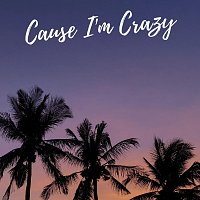 Přední strana obalu CD Cause I'm Crazy