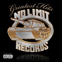 Různí interpreti – No Limit Greatest Hits