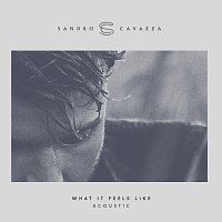 Sandro Cavazza – What It Feels Like [Acoustic]