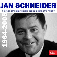 Nejvýznamnější textaři české populární hudby Jan Schneider (1964-2005)