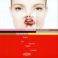 Přední strana obalu CD When the feeling comes around