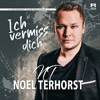 Noel Terhorst – Ich vermiss dich