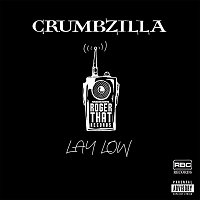 Přední strana obalu CD Lay Low