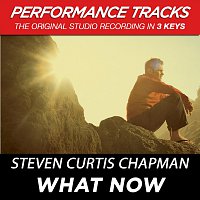 Steven Curtis Chapman – What Now [Performance Tracks]