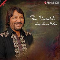 Roop Kumar Rathod, Ustad Sultan Khan, Pt. Bhawani Shankar – The Versatile- Roop Kumar Rathod