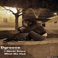 Dgroove – I Never Knew What We Had
