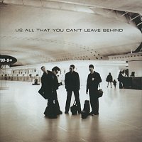 Přední strana obalu CD All That You Can't Leave Behind