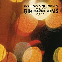 Gin Blossoms – Follow You Down