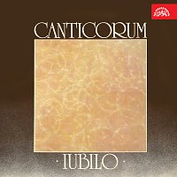 Přední strana obalu CD Canticorum iubilo