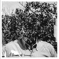 Alberto Cipolla – A dream of summer