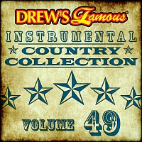 The Hit Crew – Drew's Famous Instrumental Country Collection [Vol. 49]