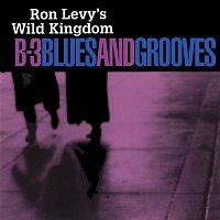 B-3 Blues And Grooves