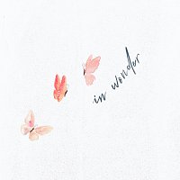 Jesus Co. – In Wonder [Live]
