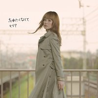 Přední strana obalu CD Wasuretakunakute