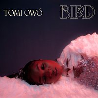 Tomi Owó – Bird