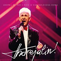 Andrej Šifrer – Andrejalin! (Cankarjev dom)