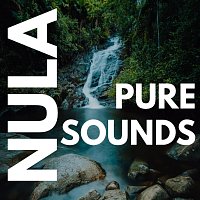 Přední strana obalu CD Pure Sounds