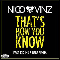 Nico & Vinz – That's How You Know (feat. Kid Ink & Bebe Rexha)