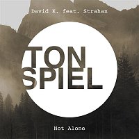 David K – Not Alone (feat. Strahan)