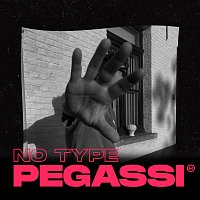 Pegassi – No Type