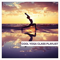 Různí interpreti – Cool Yoga Class Playlist
