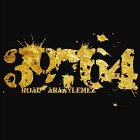 Road – Aranylemez