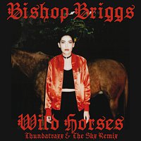 Bishop Briggs – Wild Horses [Thundatraxx & The SKX Remix]
