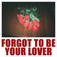 Vargas & Lagola – Forgot To Be Your Lover