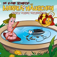 Die kleine Schnecke Monika Hauschen – 38: Warum torkeln Taumelkafer?