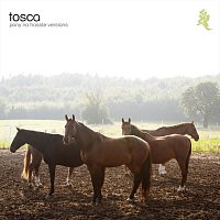 Tosca – Pony - No Hassle Versions