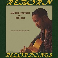 Muddy Waters – Sings Big Bill Broonzy (HD Remastered)