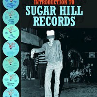 Přední strana obalu CD A Complete Introduction to Sugar Hill Records