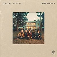 NEEDTOBREATHE – Carry Me (feat. Jon Foreman of Switchfoot)