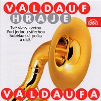 Malá dechová hudba Valdaufinka – Valdauf hraje Valdaufa