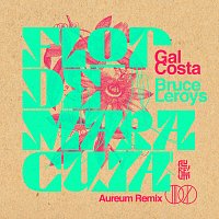 Gal Costa, Bruce Leroys – Flor De Maracujá [*Aureum Remix]