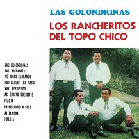 Los Rancheritos Del Topo Chico – Las Golondrinas