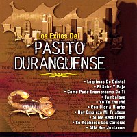 Los Exitos Del Pasito Duranguense