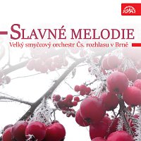 Velký smyčcový orchestr Čs. rozhlasu v Brně – Slavné melodie