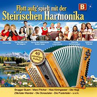 Různí interpreti – Flott aufg'spielt mit der Steirischen Harmonika - B