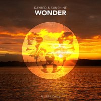 Daybed & Sunshine – Wonder