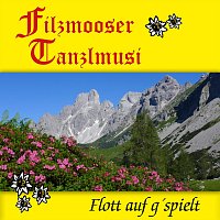 Filzmooser Tanzlmusi – Flott auf g ’spielt