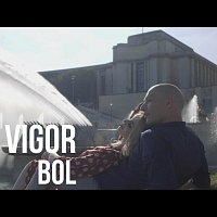 Grupa Vigor – Bol