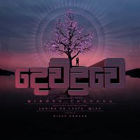 Přední strana obalu CD Dewduwe