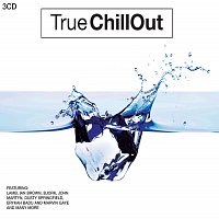 Různí interpreti – True Chillout (3CD set)