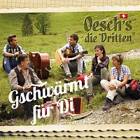 Gschwarmt fur Di