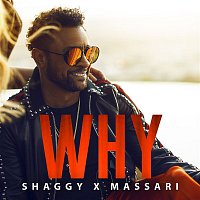 Shaggy & Massari – Why