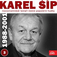Karel Šíp, Různí interpreti – Nejvýznamnější textaři české populární hudby Karel Šíp 3 (1988 - 2001) FLAC