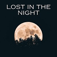 Přední strana obalu CD Lost in the Night