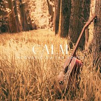 Různí interpreti – Calm Acoustic Guitar Songs
